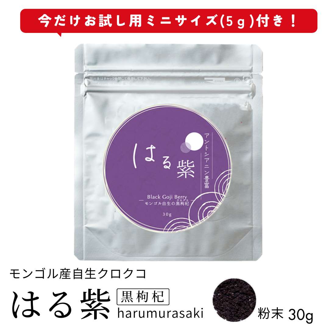 はる紫（黒枸杞）粉末30g★（今だけお試し用サンプル5g付き［期間限定］）／モンゴル産／黒クコの実