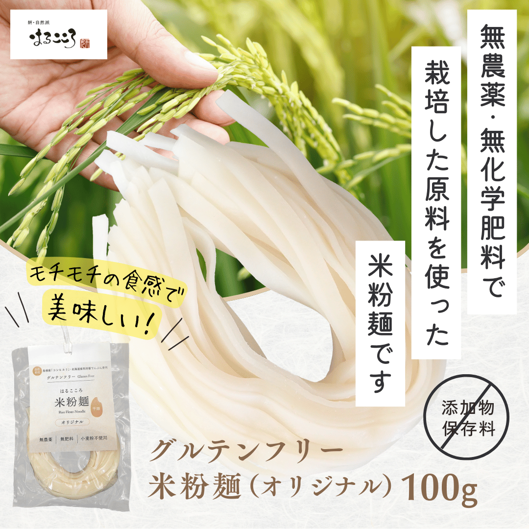 グルテンフリー米粉麺（オリジナル）100g／平麺／無農薬・無化学肥料／小麦不使用