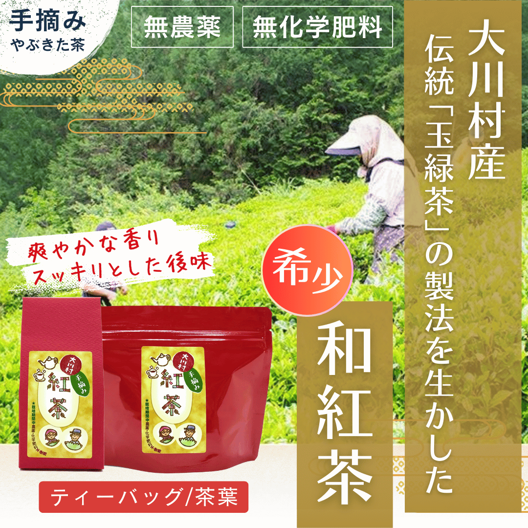 川上さんの手摘み和紅茶《大川村産》／農薬・化学肥料不使用