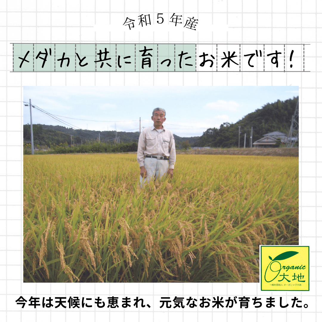 《予約販売》令和５年産新米！鹿児島県産ヒノヒカリ5kg　無農薬栽培・無化学肥料栽培