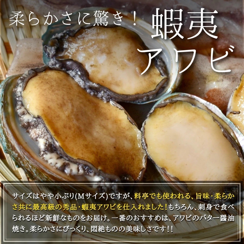 《特許製法CAS冷凍》【生きたまま瞬間凍結】殻付き 蝦夷あわび（Mサイズ）1kg／刺身・BBQ・贅沢おうちごはんに／冷凍（クール便）／送料無料（※北海道＆沖縄は要追加送料）