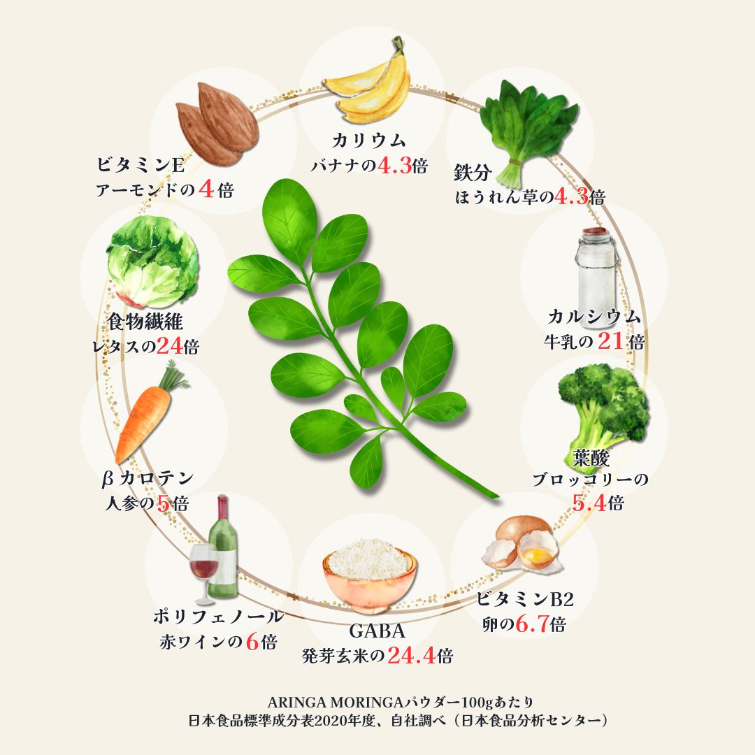 標準成分表 標準成分表