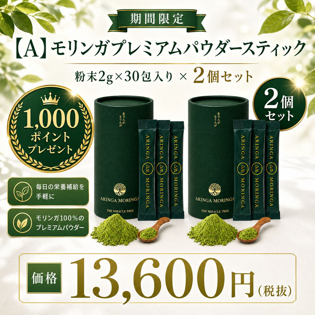 モリンガ Aセット画像