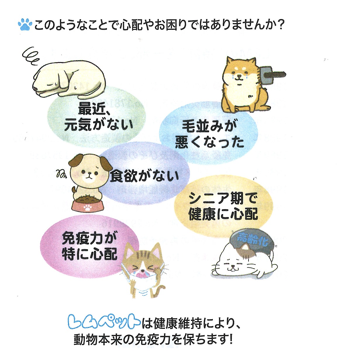 愛犬・愛猫の健康のお悩み