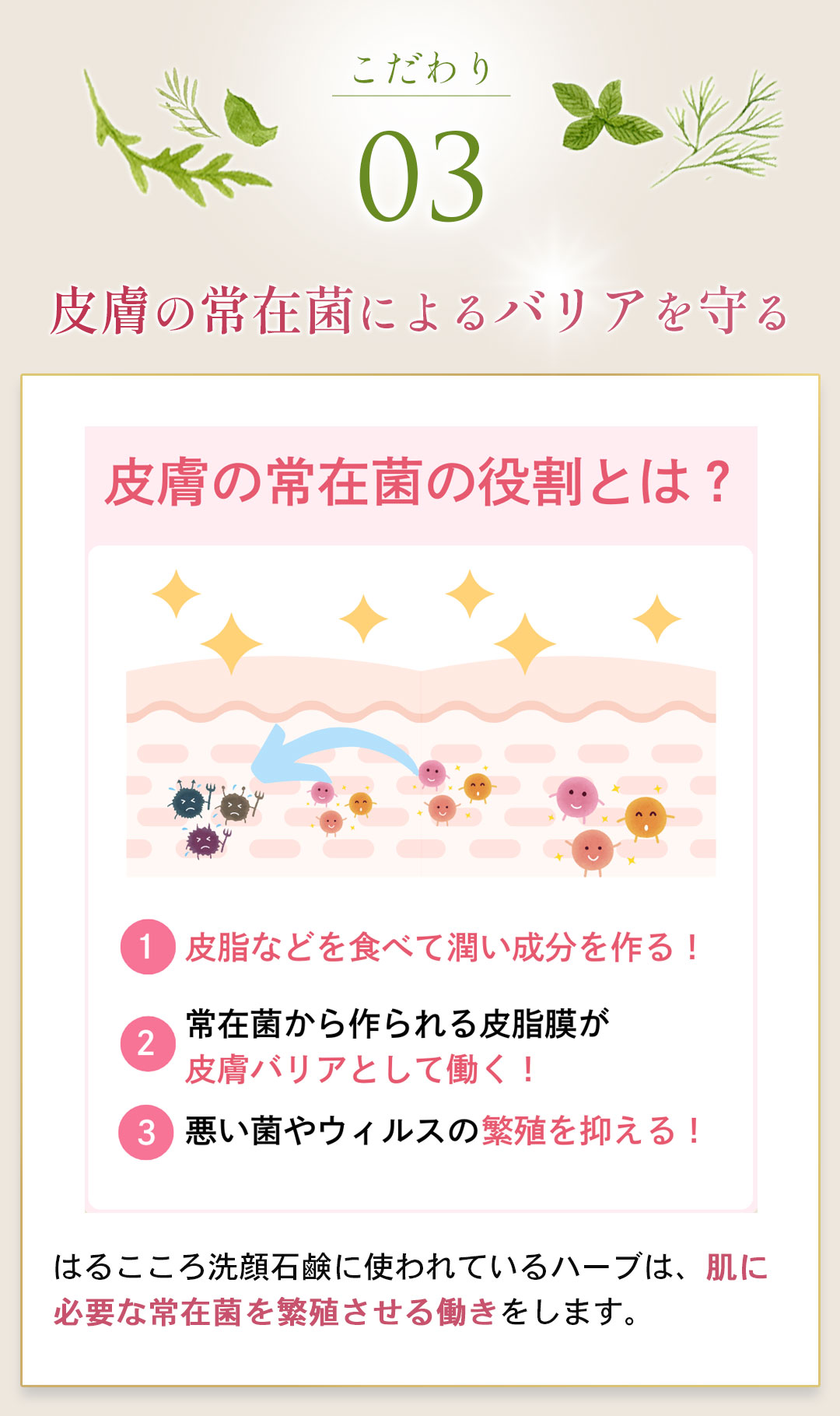 こだわり3 洗顔石鹸60g