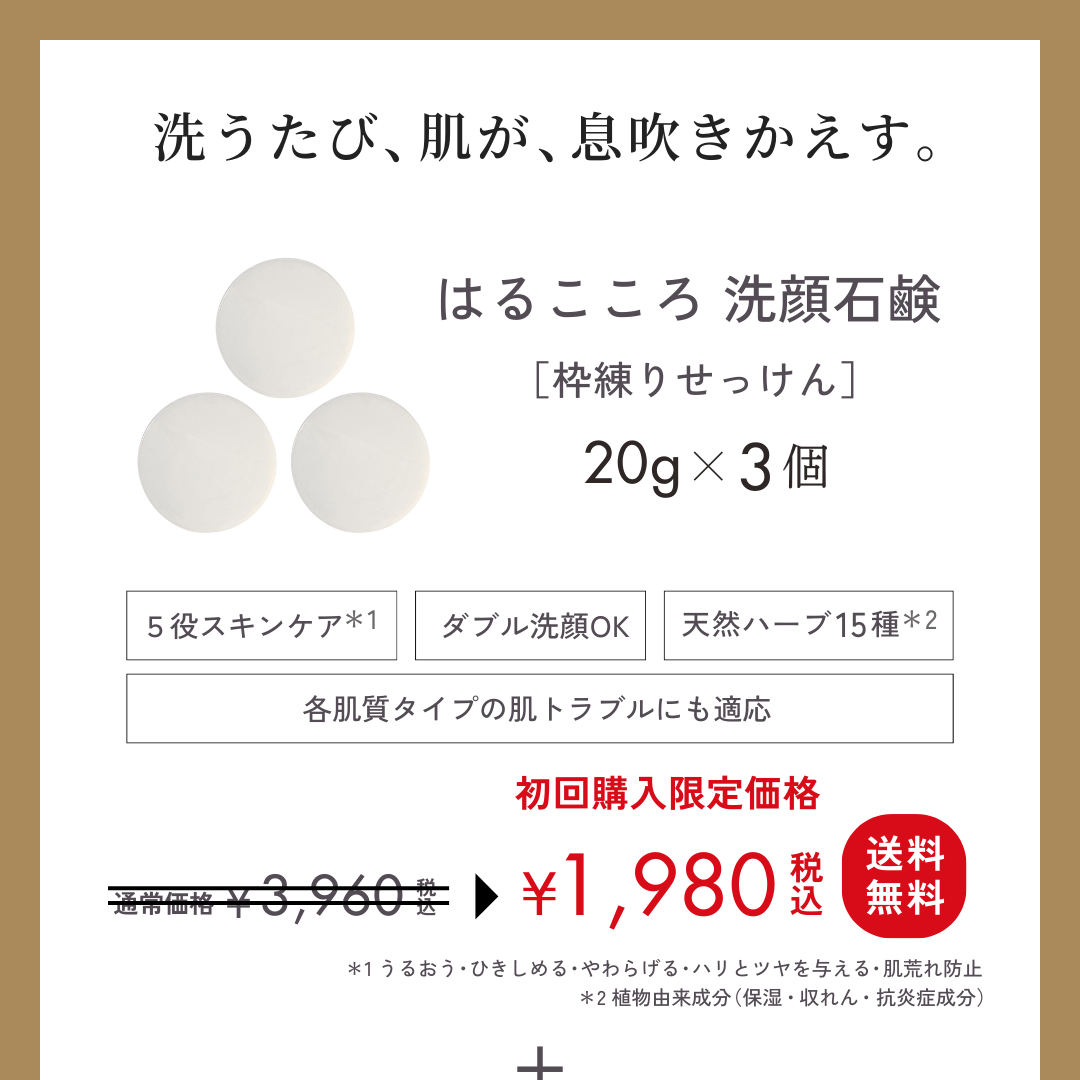 洗顔石鹸20g初回購入詳細