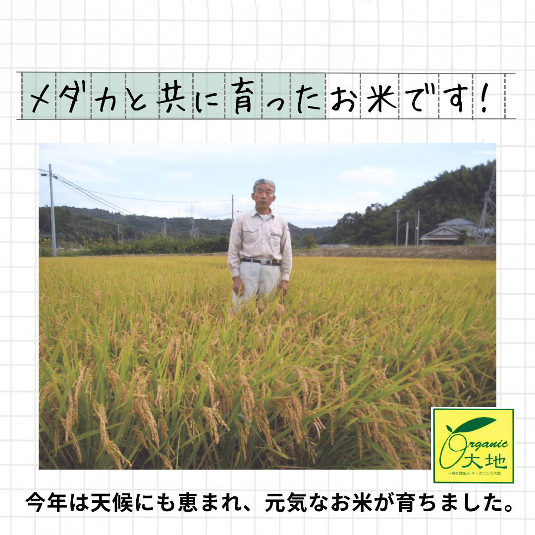 農家さんの写真-1