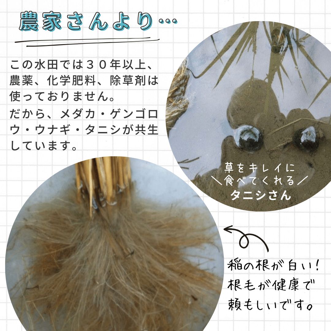 農家さんの写真-2