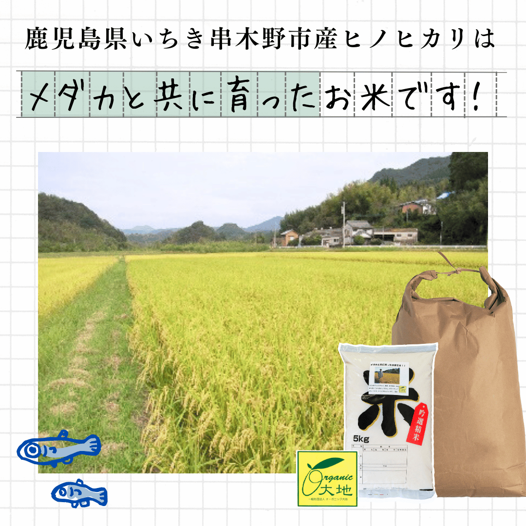 鹿児島県産ヒノヒカリ産地説明