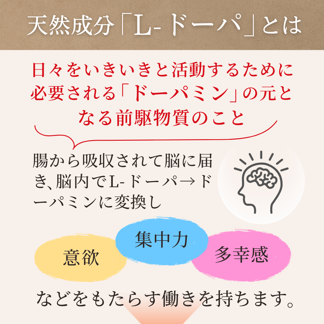 むくな豆粉50g