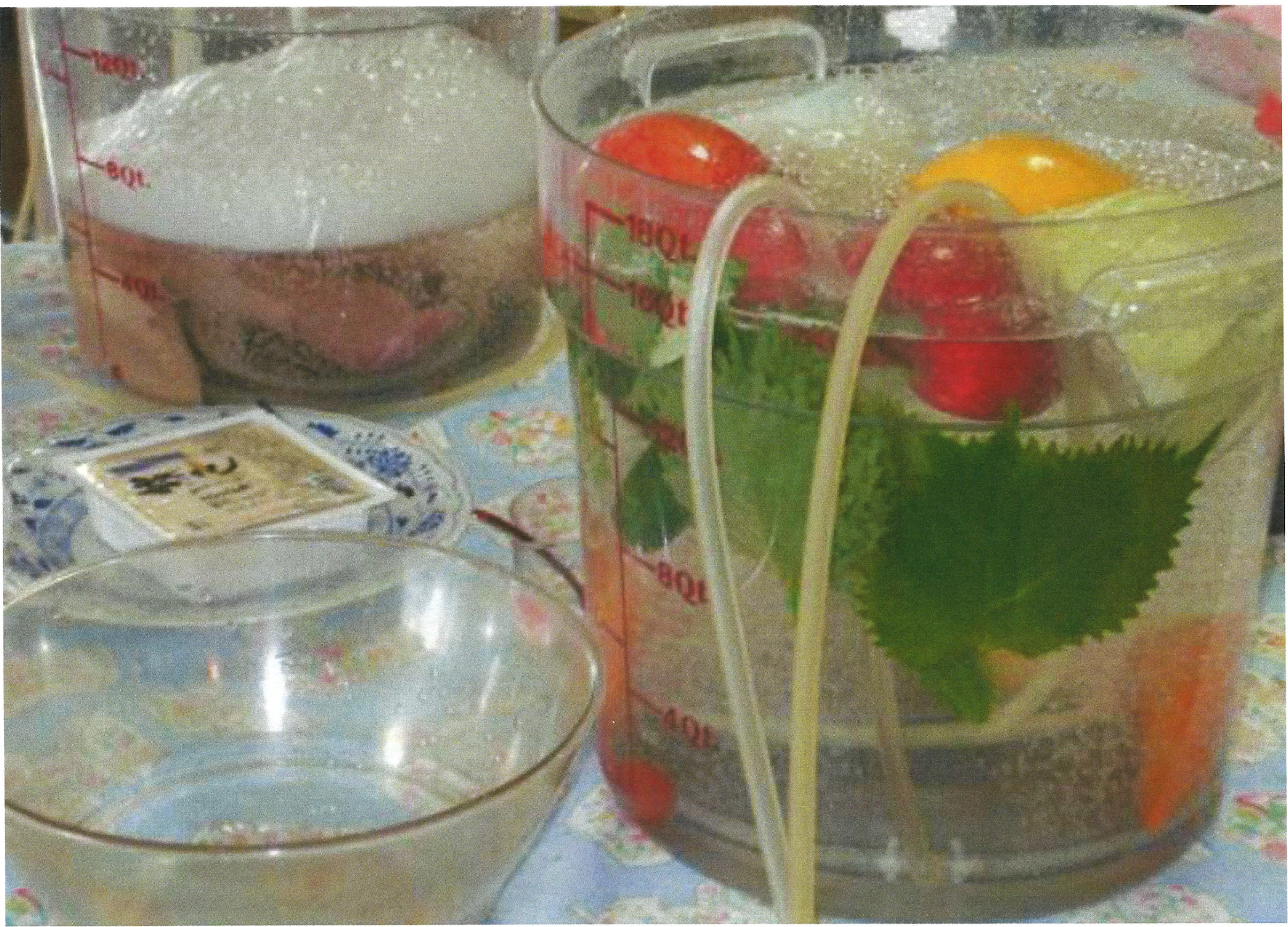 ソレイユによる食材のロゾンピュール処理風景