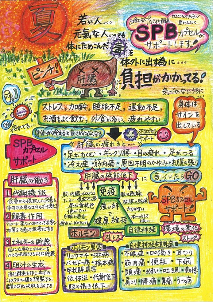 SPBカプセル説明図 SPBカプセル説明図
