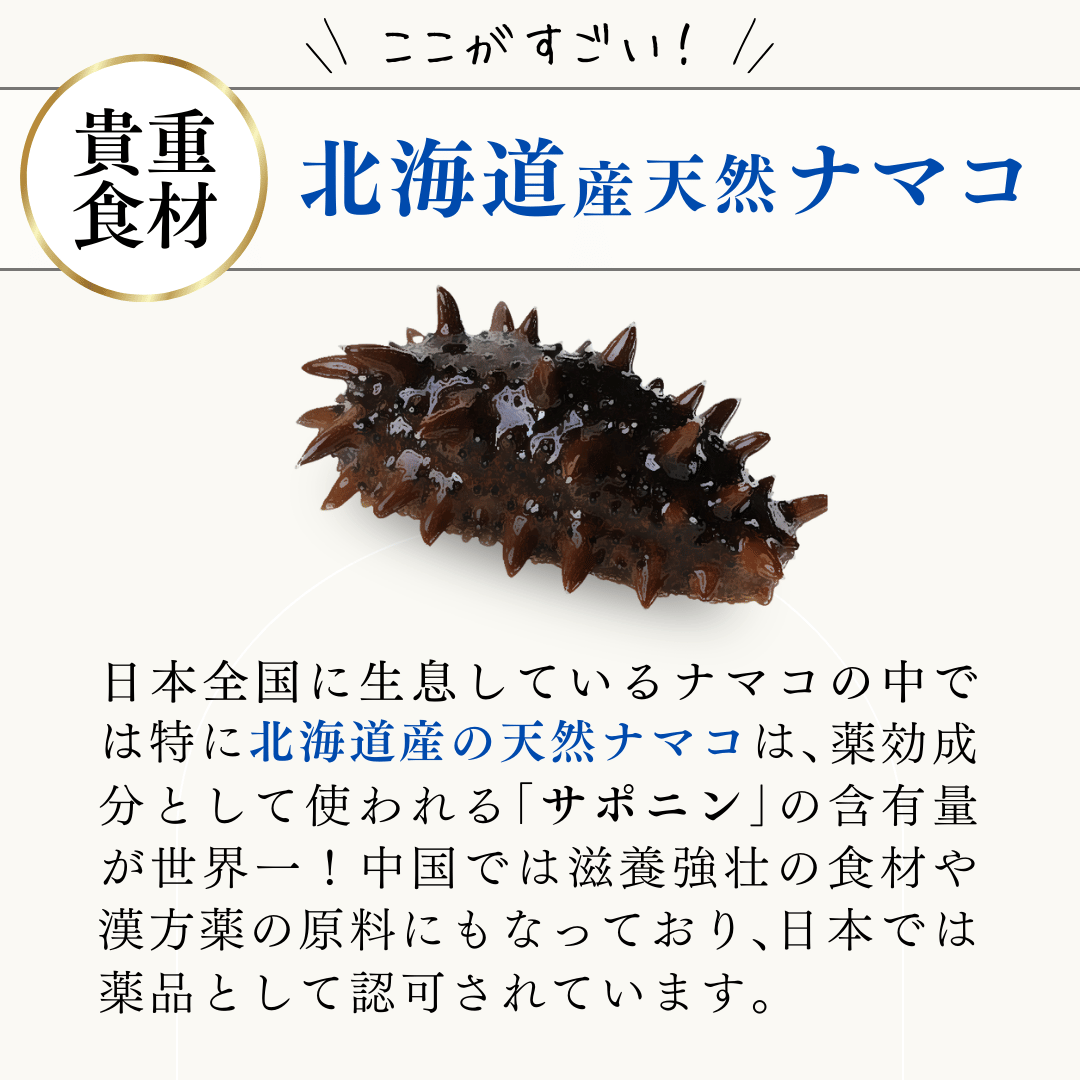 ウルトラパウダー商品説明