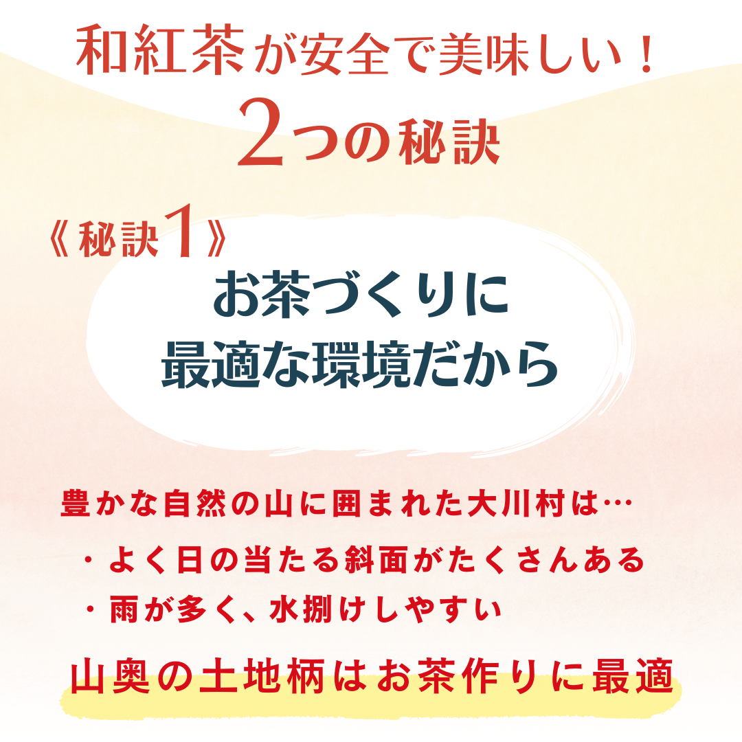 大川村産の和紅茶